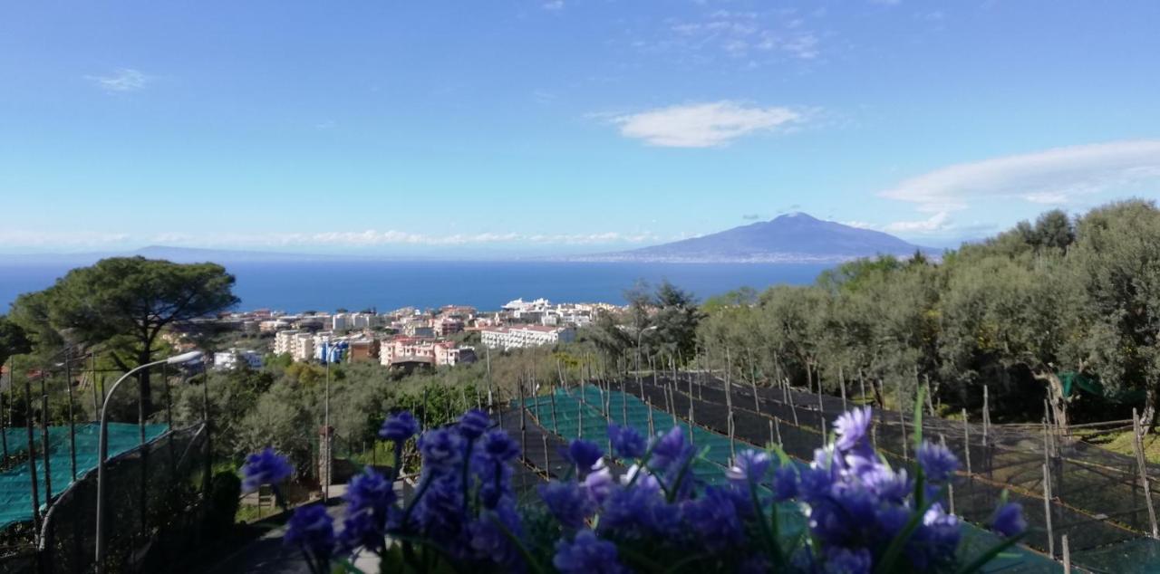 Sorrento Dolce Casa 아파트 외부 사진